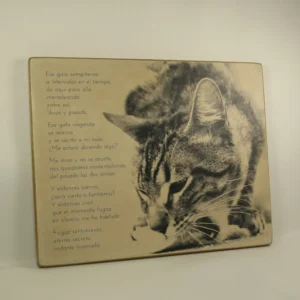 Tabla "Ese gato sempiterno"