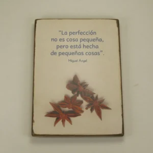 Imán "La perfección no es cosa pequeña"