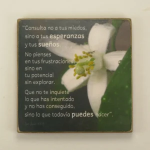 Imán "Esperanzas y sueños"