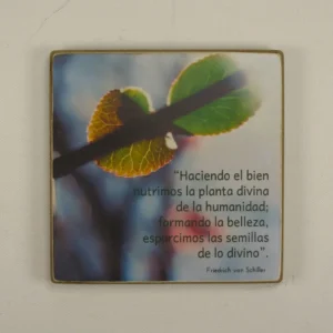 Imán "Haciendo el bien, formando la belleza"