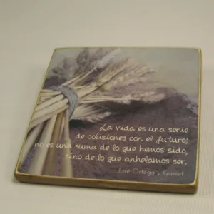 Imán "Anhelamos ser"