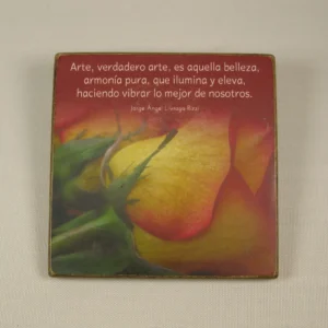 Imán "Arte, verdadero arte"